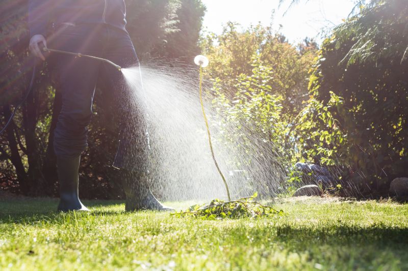 Lawn Spraying in Aiken, SC