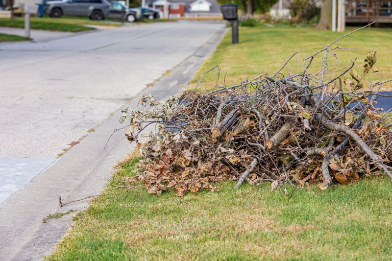Lawn Waste Removal in Honolulu, HI