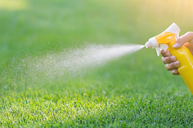 Lawn Weed Control in Rockwall, TX