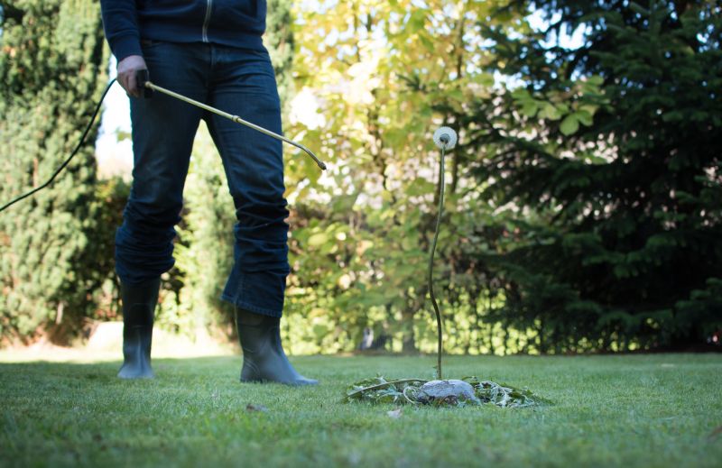 Lawn Weed Control in Ventura County, CA