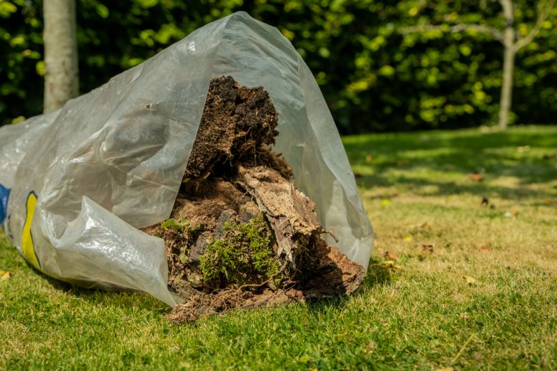 Leaf Removal in Ventura County, CA