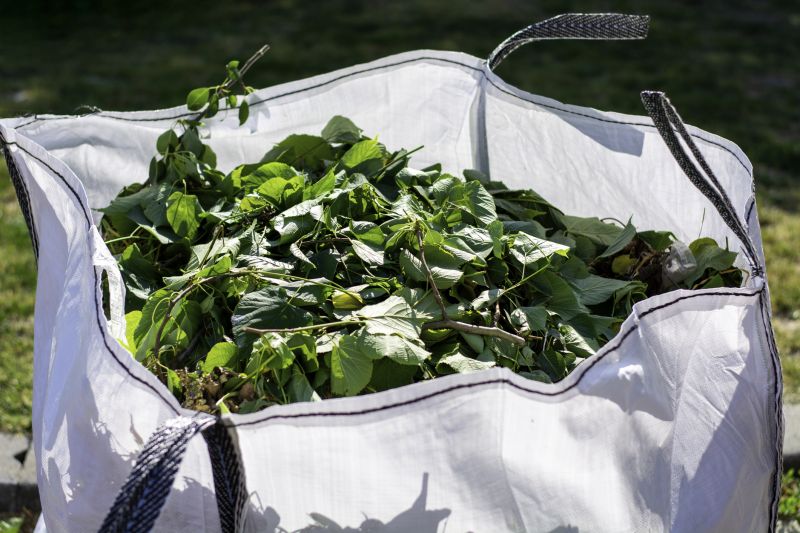 Leaf Removal in Ventura County, CA
