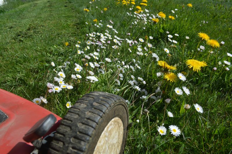 Meadow Mowing in Prince Georges County, MD