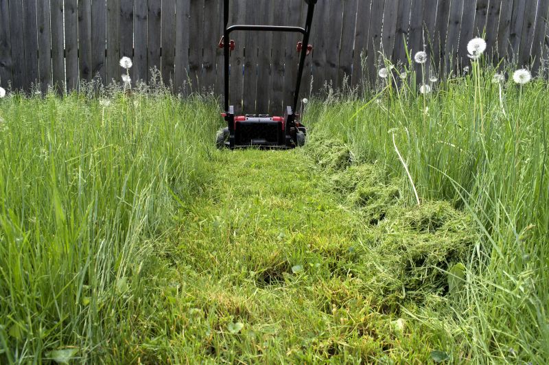 Meadow Mowing in Waldorf, MD