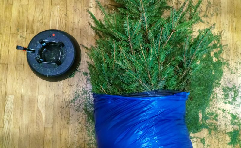 Pine Needles Removal in Honolulu, HI