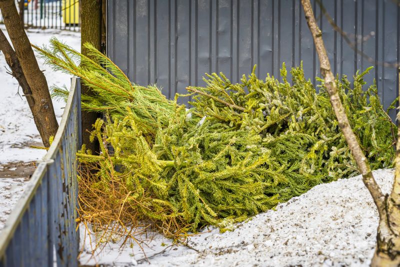Pine Needles Removal in Ventura County, CA