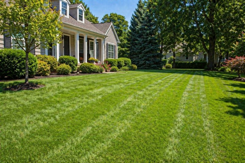 Residential Lawn Care in Bowie, MD