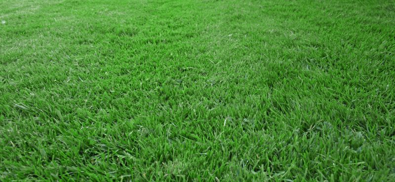 Residential Lawn Seeding in Honolulu, HI