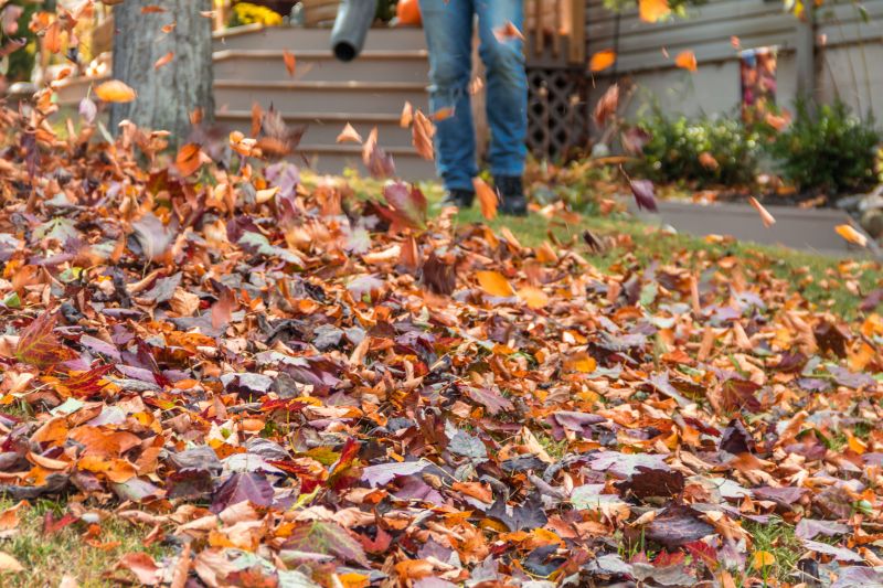 Seasonal Lawn Maintenance in Honolulu, HI