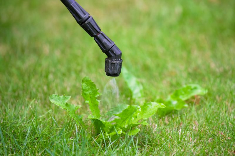 Slope Weed Control in Aiken, SC