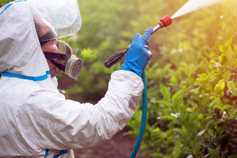 Slope Weed Control in Ventura County, CA