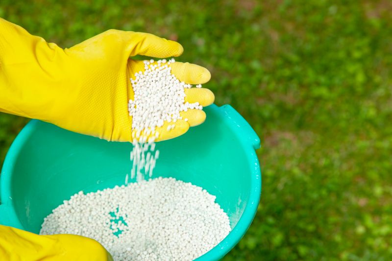 Soil Topdressing in Honolulu, HI