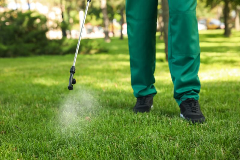 Spring Lawn Treatment in Ventura County, CA