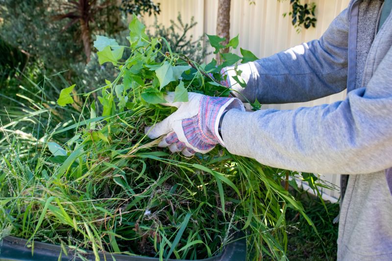 Spring Yard Clean Up Service in Ventura County, CA
