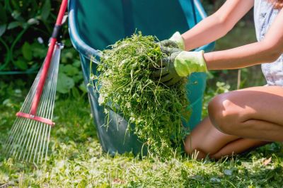 Spring Yard Clean Up Service in Ventura County, CA