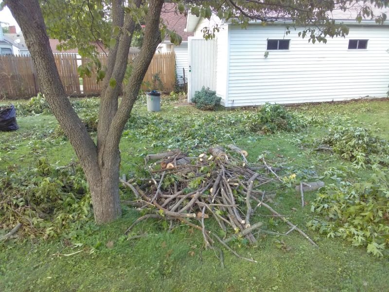 Spring Yard Cleanup in Honolulu, HI