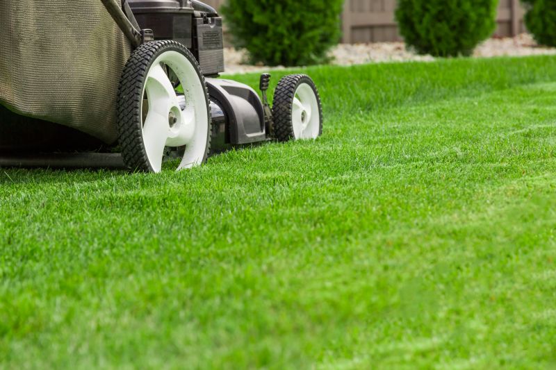 Summer Lawn Care in Bowie, MD