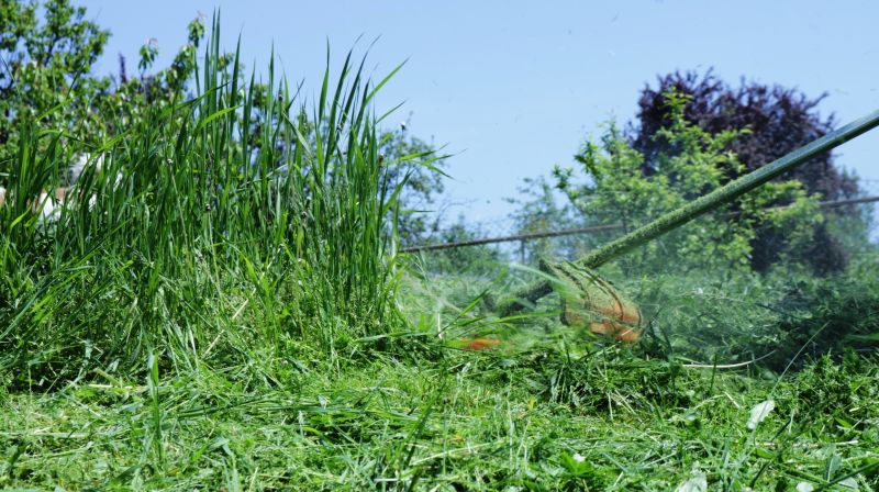 Tall Grass Cutting in Bowie, MD