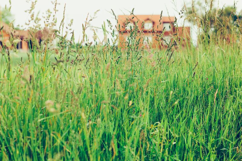 Tall Grass Mowing in Bowie, MD