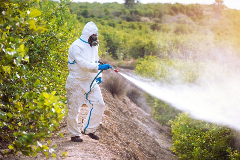 Thistle Control in Ventura County, CA