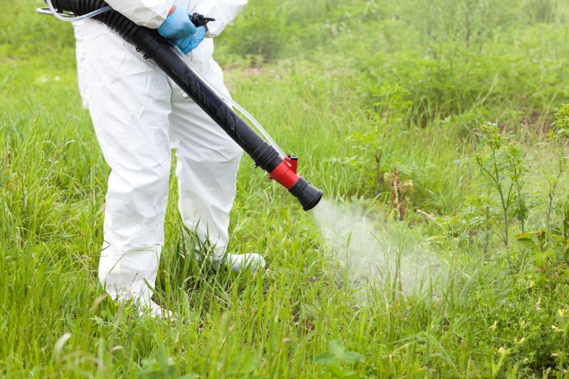 Thistle Control in Aiken, SC