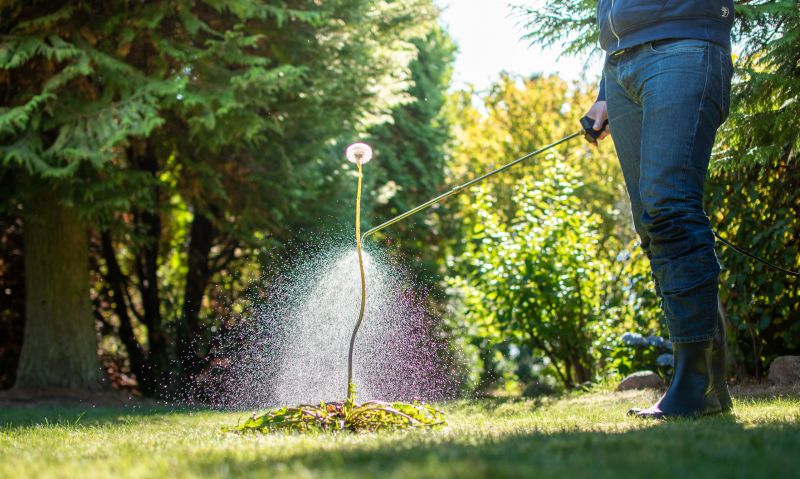 Thistle Treatment in Rockwall, TX