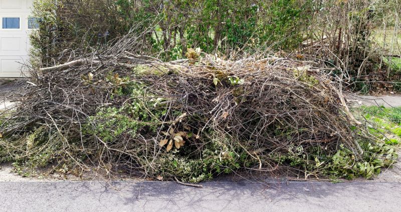 Tree Branches Removal in Honolulu, HI