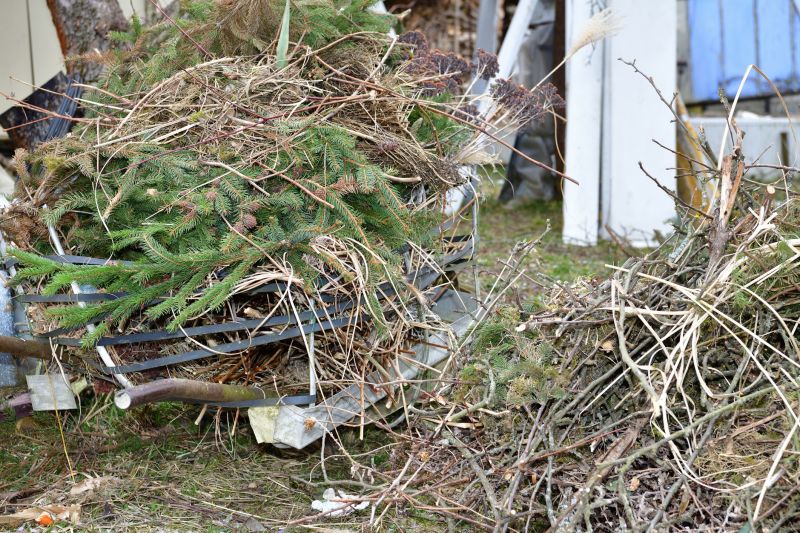 Tree Debris Removal in Honolulu, HI