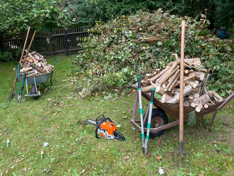 Tree Debris Removal in Honolulu, HI