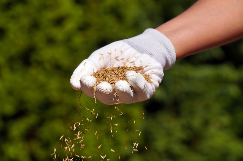 Turf Seeding in Honolulu, HI