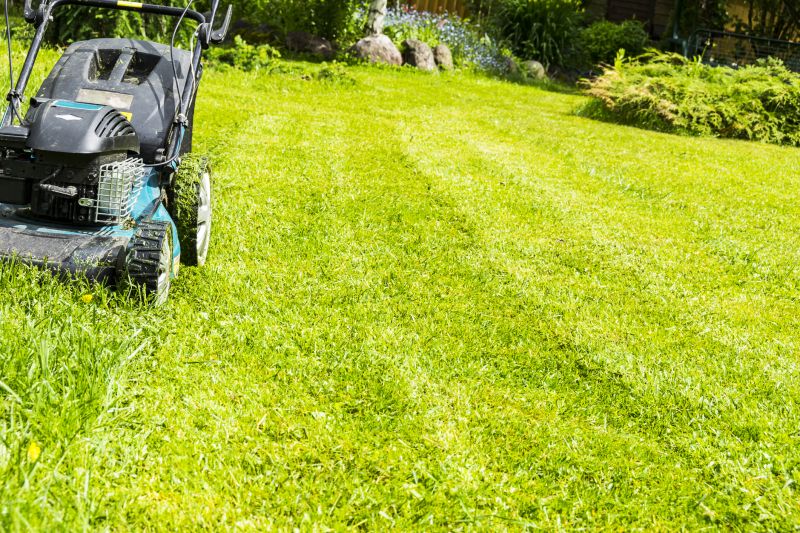 Vacant Lot Mowing in Prince Georges County, MD
