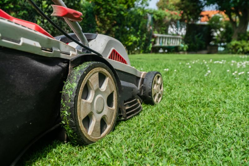 Vacant Lot Mowing in Prince Georges County, MD
