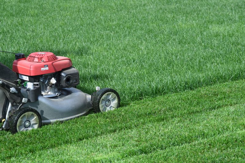 Vacant Lot Mowing in Waldorf, MD
