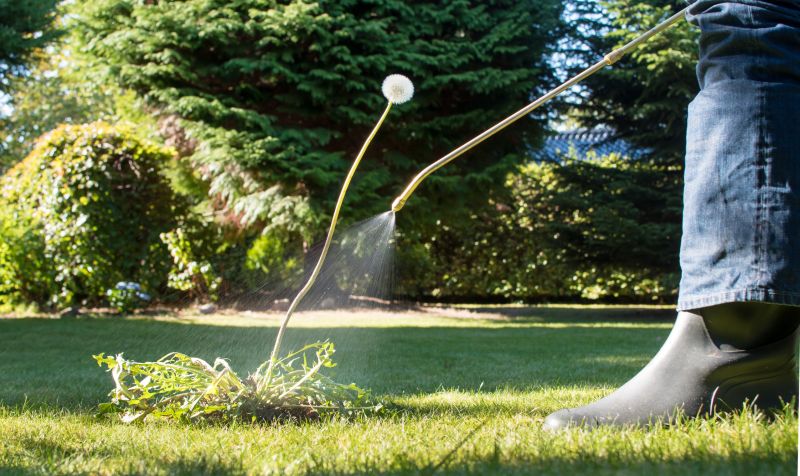 Weed Control Service in Ventura County, CA