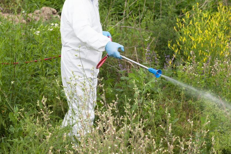 Weed Prevention Service in Aiken, SC