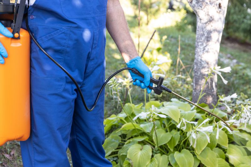 Weed Spraying in Rockwall, TX