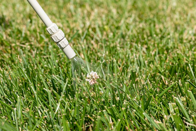Weed Spraying in Rockwall, TX
