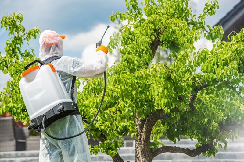 Weed Spraying in Honolulu, HI
