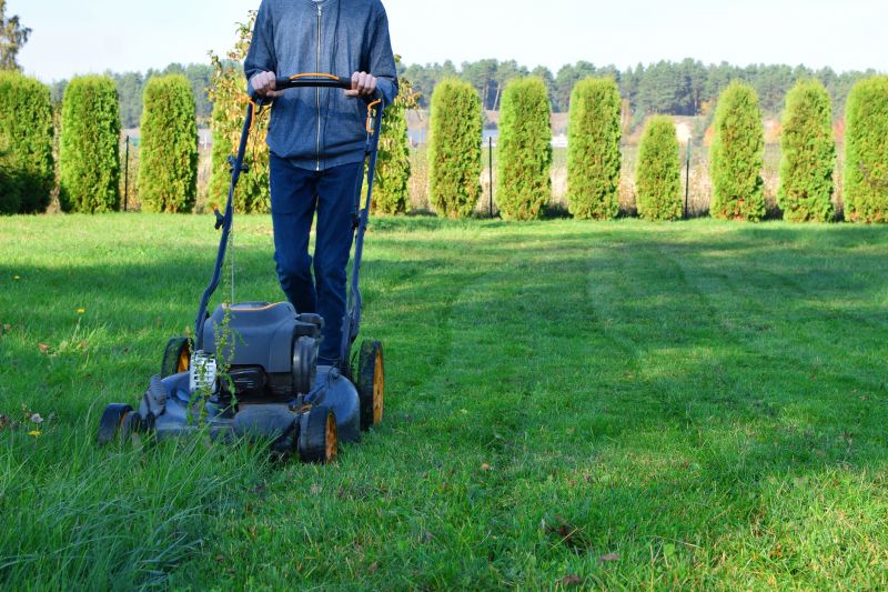 Weekly Lawn Care in Bowie, MD
