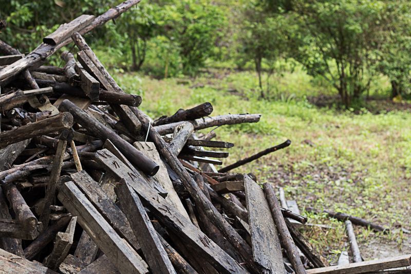 Wood Pile Removal in Honolulu, HI