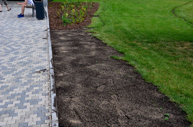 Yard Improvement Service in Ventura County, CA