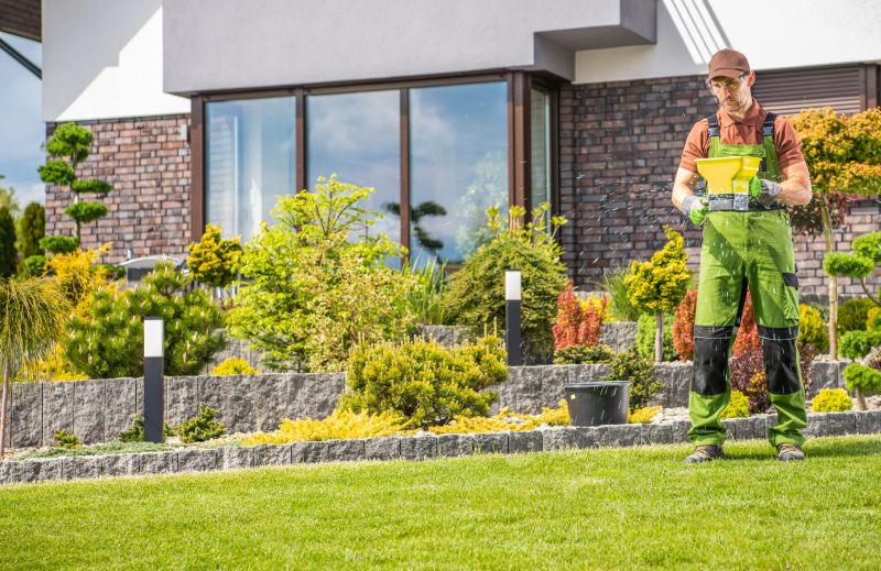 Yard Improvement Service in Honolulu, HI