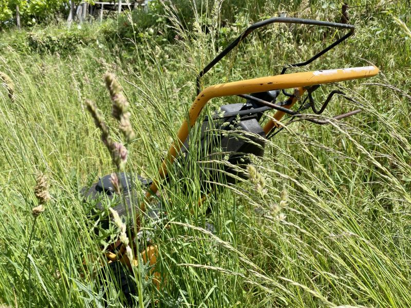 Yard Mowing in Bowie, MD