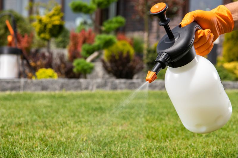 Yard Treatment Service in Honolulu, HI